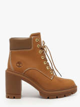 Enkellaarsjes Met Hak Uit Leder Timberland Bruin women 2CKCEN11